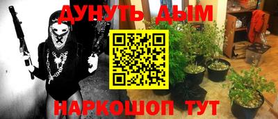 гашик Пыть-Ях