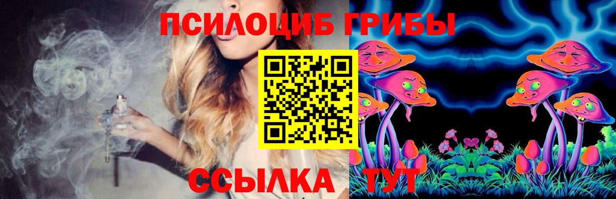 Псилоцибиновые грибы Cubensis Сочи